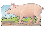Primary Cutout Illustration of Pig